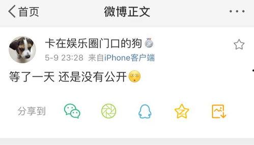 吃瓜爆料恋情,明星甜蜜恋情曝光，甜蜜瞬间引网友热议