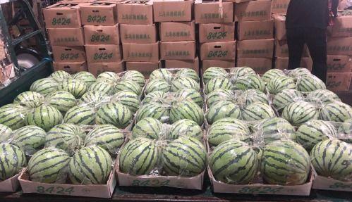 厦门吃瓜,一场吃瓜之旅的味蕾探险