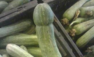 小瑞的吃瓜日常,揭秘娱乐圈幕后故事