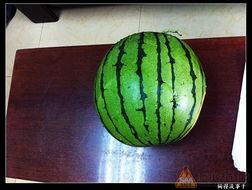 自驾游吃瓜,一路吃瓜，一路欢笑