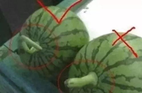 瓜妹妹吃瓜,揭秘娱乐圈那些事儿