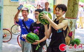 在线吃瓜小说学校