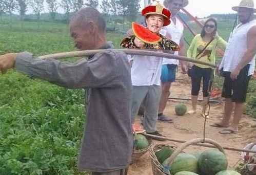 蛙人路边吃瓜图片,展现海洋生活趣味瞬间