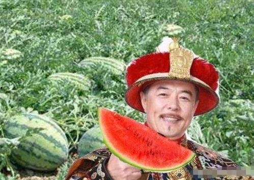 乾隆 吃瓜